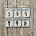 Packages of Ever So Clever cute capybara charms on wood background.