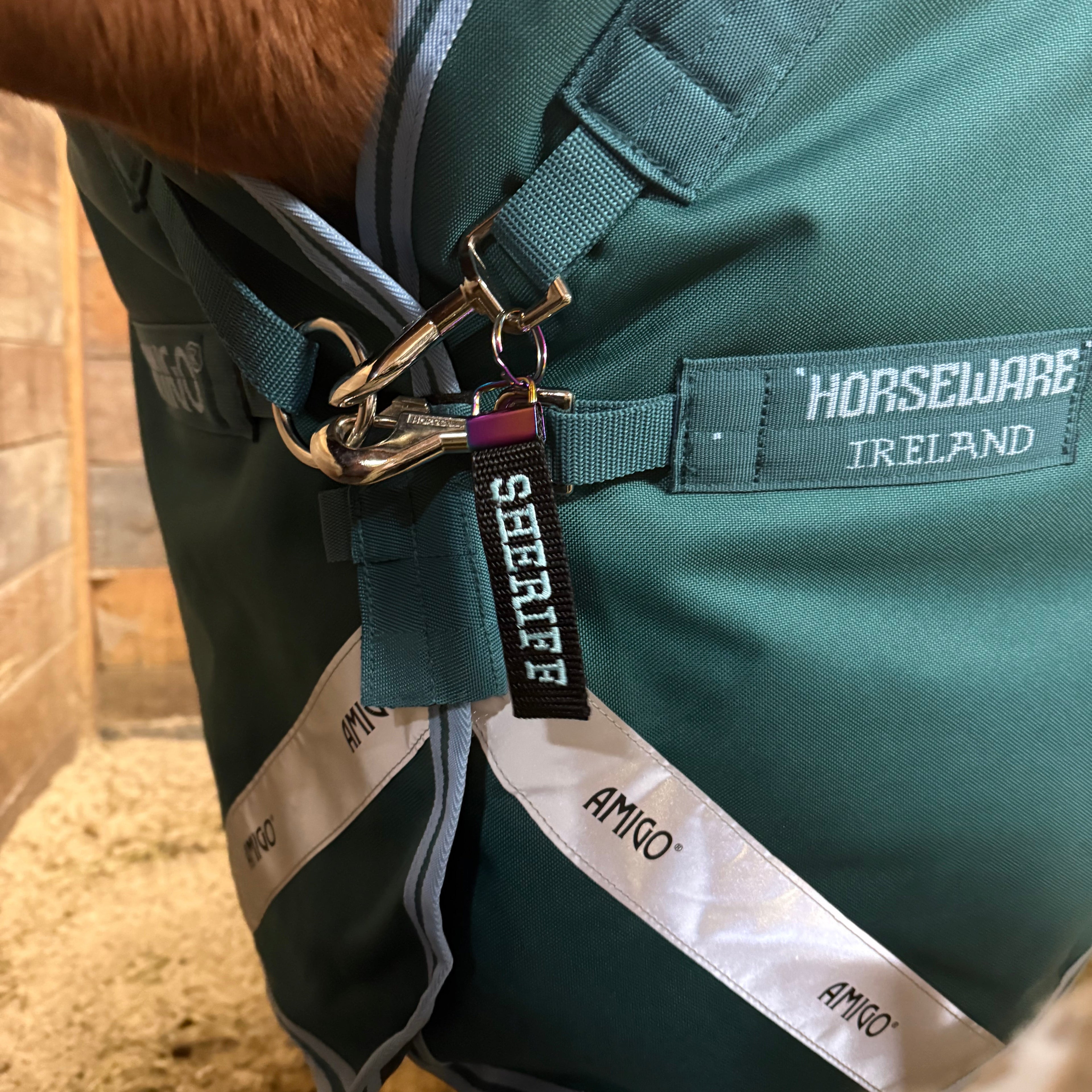 Green horse blanket on a horse with custom horse blanket tag displaying the name "Sheriff"